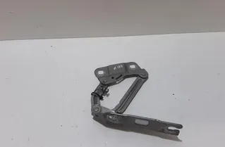 MERCEDES-BENZ R-Class W251 (2005-2017) Pravý predný kapotový pant ES740605,A2518800228 22674437