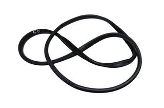 RENAULT Megane 3 generation (2008-2020) Rear door sealing rubber (on the body) 34526188