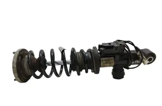 BMW 6 Series F06/F12/F13 (2010-2018) Задний левый амортизатор 6798407 33598605