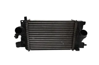 OPEL Meriva 2 generation (2010-2020) Intercooler Radiator R3445005 34207982