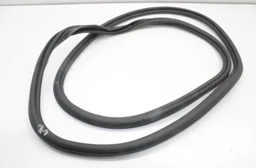 AUDI e-tron 1 generation (2018-2024) Rear Right Door Seal Rubber 4KE833721 33506754
