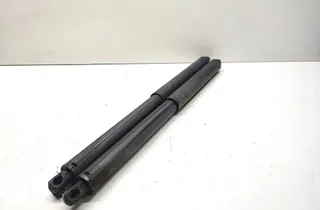 BMW X5 E70 (2006-2013) Ľavý plynový tlmič na zadné vráta 7177283 33641974