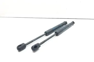 BMW 3 Series F30/F31 (2011-2020) Predný ľavý kapotový vzperač 7239233 33685284