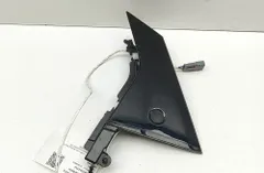 FORD USA Mustang Mach-E 1 generation (2020-2024) Задняя левая дверь, вертикальная отделка LJ8B-R254A43-AHW,LJ8B-R254A43-BFW,LJ8B-R224B00-CC 33582753