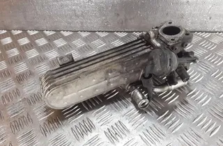VOLKSWAGEN Touran 1 generation (2003-2015) EGR Cooler 03G131513 33836567