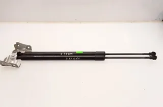 RENAULT Modus 2 generation (2007-2012) Right Side Tailgate Gas Strut 7000210519B0,8200665709 11692361