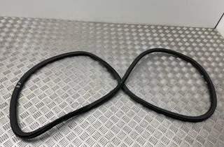 CHRYSLER Pacifica 2 generation (RU) (2016-2023) Front Right Door Seal Rubber 34126971