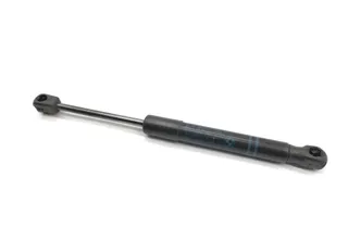 BMW 1 Series F20/F21 (2011-2020) Front Right Bonnet Strut 7239233-06 11567257