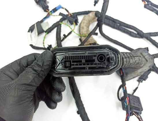 BMW 5 Series F10/F11 (2009-2017) Front Left Door Cables 65779224178,9224178,9291048,614675,9147281,914728101,09401605,6577922417801,695452201,7526880,4380893,9149009,1670537,9312733,6954522,04645,131011 32866286