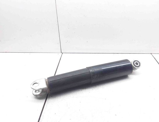 PEUGEOT Hercules (1993) 1 generation (2017-2024) Front fork shock absorber 21674240