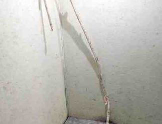 VOLKSWAGEN Touareg 1 generation (2002-2010) Pravý strešný airbag SRS 7L6880742E 22730537