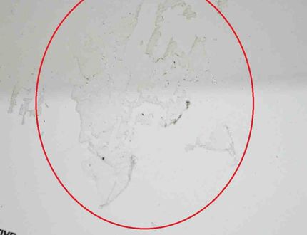 BMW i3 I01 (2013-2024) Фортка передней правой двери 43R-007951,5900518 13975411