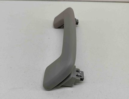 SKODA Enyaq 1 generation (2020-2023) Ручка крыши (передняя левая) 10A857607A 26930727