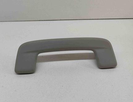 SKODA Enyaq 1 generation (2020-2023) Ручка крыши (передняя левая) 10A857607A 26930727