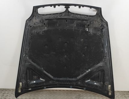 BMW X6 E71/E72 (2008-2012) Kapota 7486754 32802571