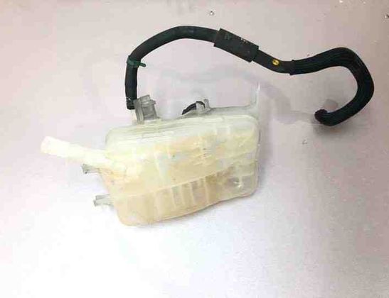 RENAULT Scenic 3 generation (2009-2015) Expansion Tank 217100005R 21315123