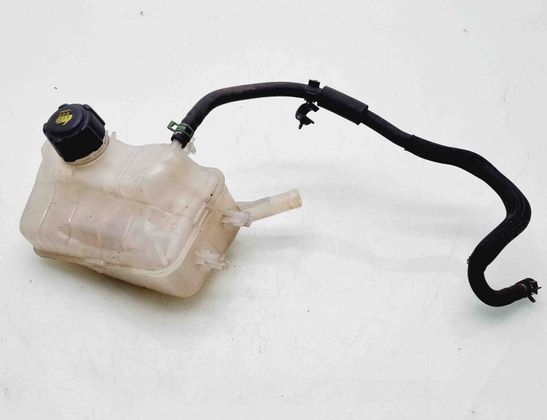 RENAULT Scenic 3 generation (2009-2015) Expanzná nádrž 217100005R 21535566