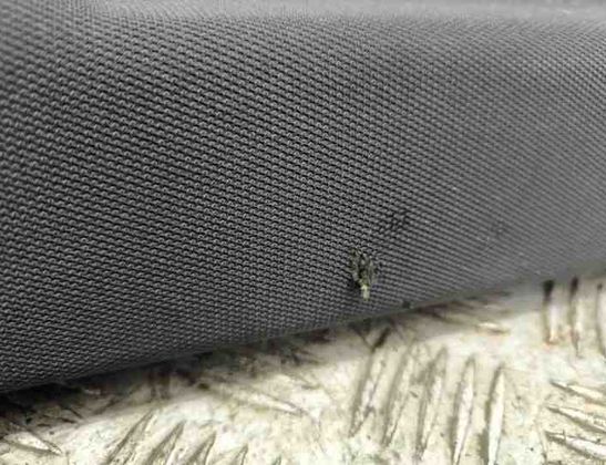 AUDI A7 C7/4G (2010-2020) Obloženie strechy 4G8867506 26456936