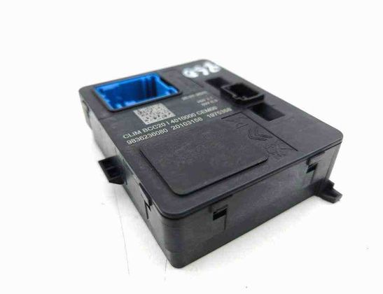 PEUGEOT 2008 2 generation (2019-2023) Other Control Units 1975358,20103158,9836236080 32695475